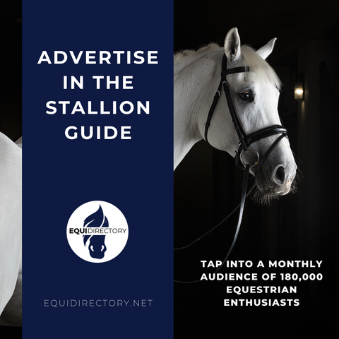 Stallion Guide + Listing Advertising