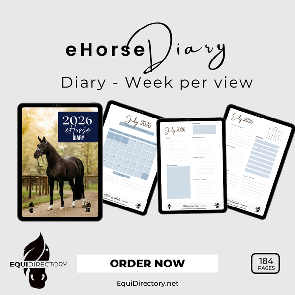 2026 Horse Diary + Planner - Journal - Daily Tracker