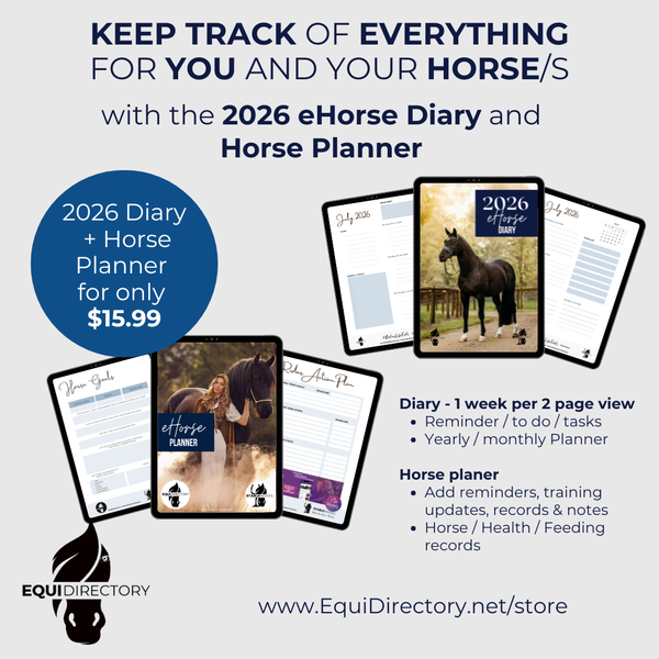 2026 Horse Diary + Planner - Journal - Daily Tracker