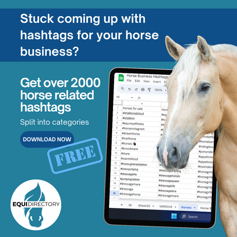 2000+ Horse Related Hashtags - Free