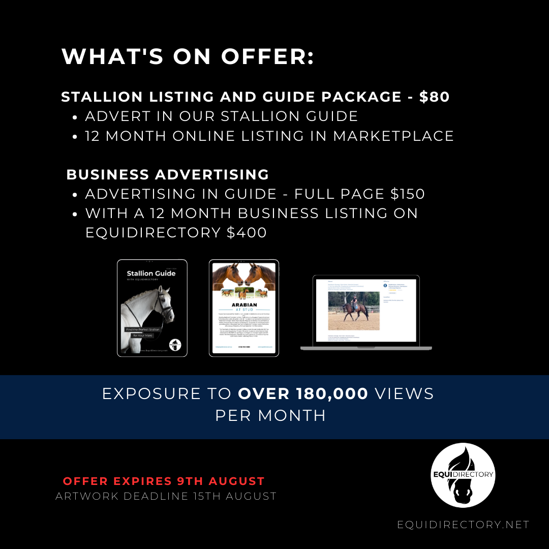 Stallion Guide + Listing Advertising – EquiDirectory