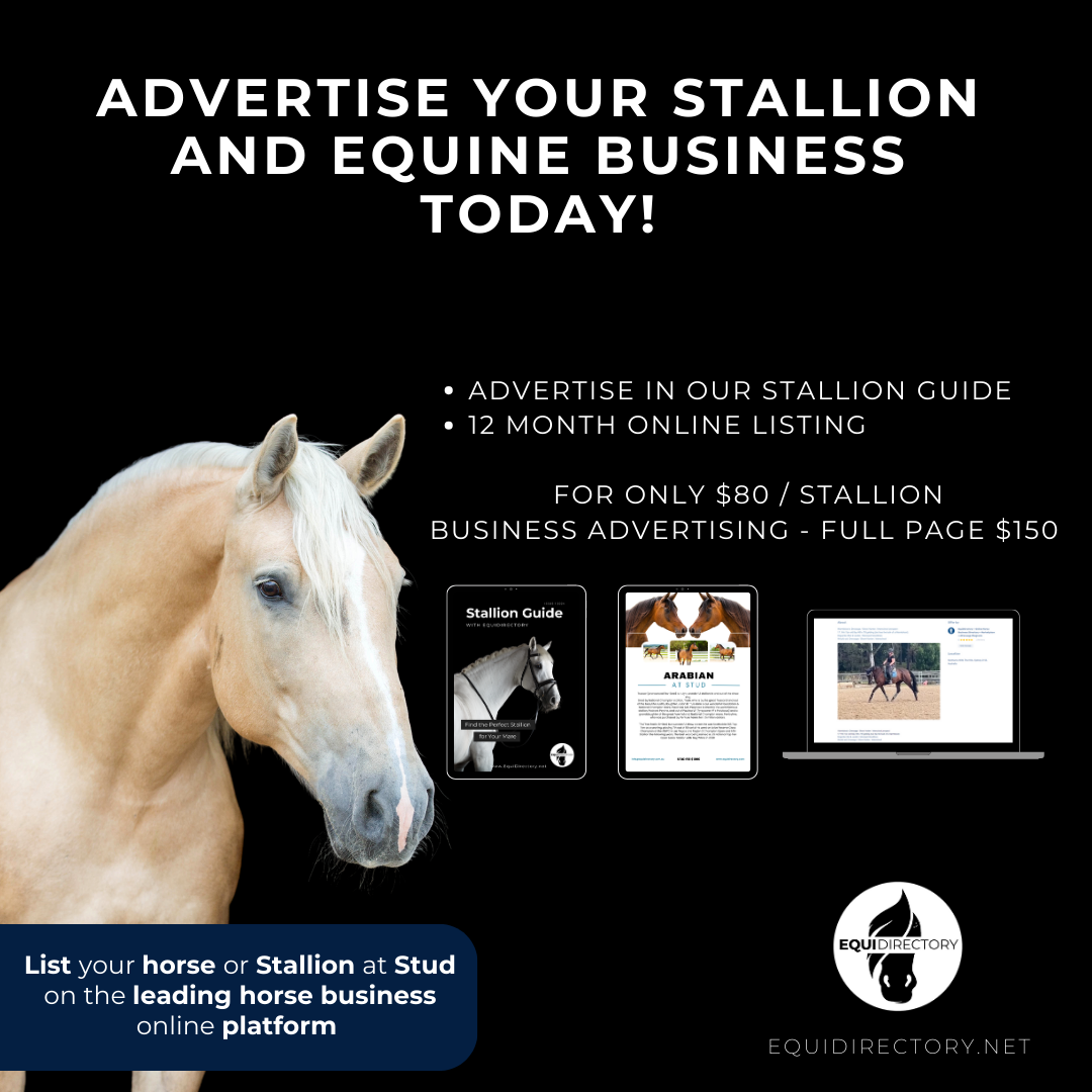 Stallion Guide + Listing Advertising – EquiDirectory