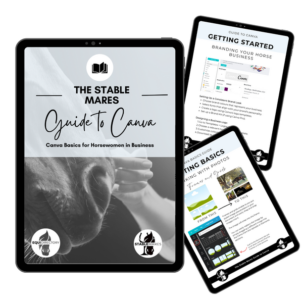 Canva Basics for Horse Business Owners