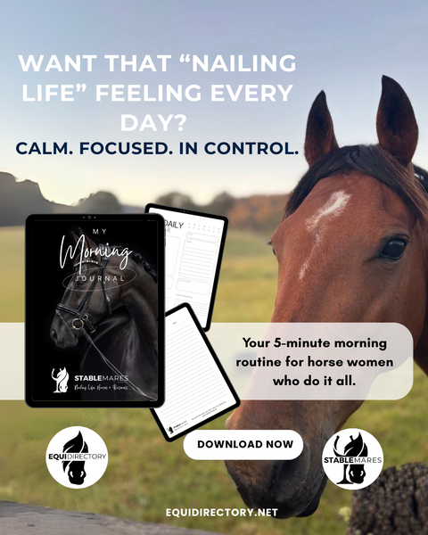 Morning Mindset Journal - Start the day off in the right mindset to get that nailing life feeling